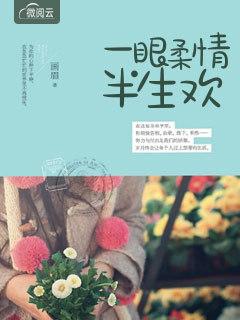 陸言呈趙清瑤小說封面