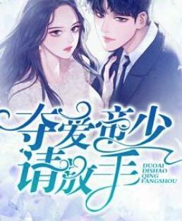 女主林辛言男主宗景灝封面