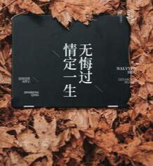 上門龍婿葉辰蕭初然全文免費聽書封面