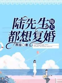 陸先生每天都想復(fù)婚全文免費閱讀封面