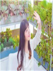 被網爆后我重生了封面