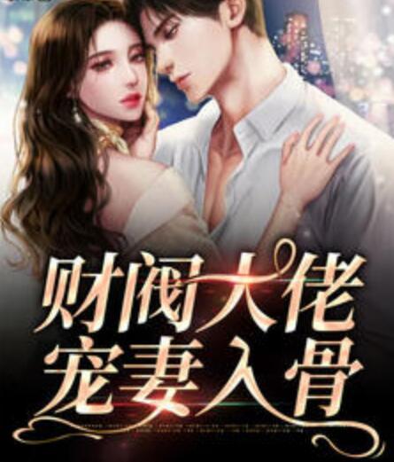 財閥大佬寵妻入骨封面
