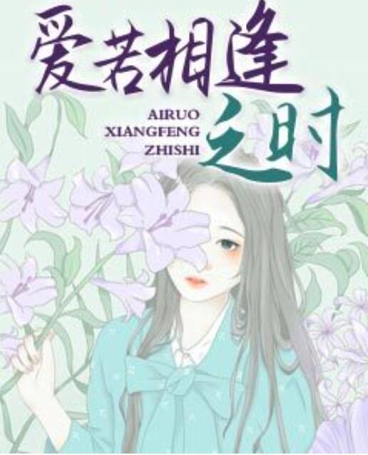 愛若相逢之時封面