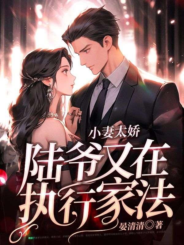 小妻太嬌,陸爺又在執(zhí)行家法的小說(shuō)封面
