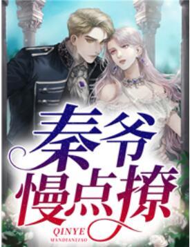 秦爺，慢點撩封面