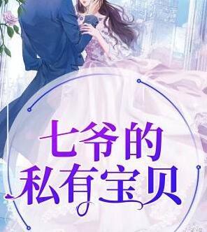 七爺的私有寶貝封面