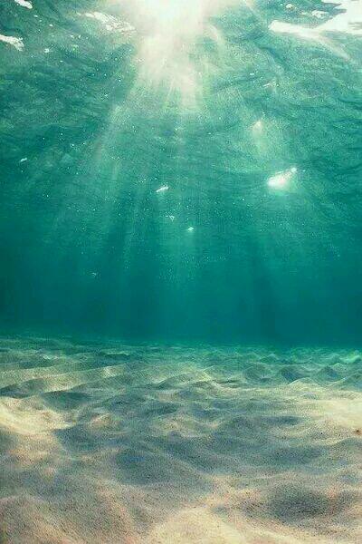 我!兩國太子做靠山!驕縱一點(diǎn)怎么了小說封面