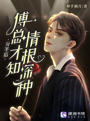 分手后，傅總才知情根深種封面