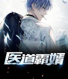醫道霸婿封面
