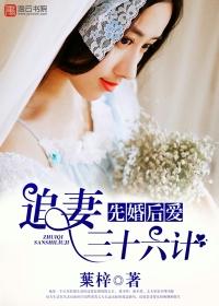 永安調小說封面