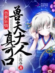 沈淵慕微小說封面