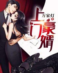 上門豪婿封面