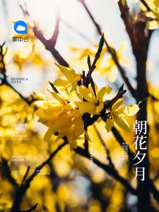 傾朝野：小國師他嗜我如命封面