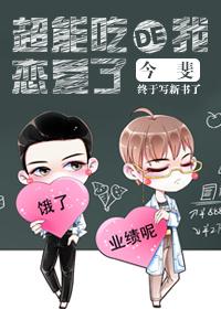 葉辰夏傾月小說封面