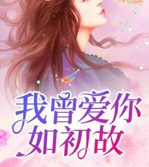 時夢菀龍緋宇封面