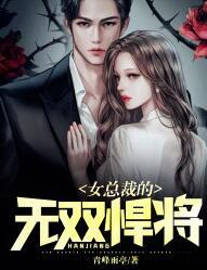 女總裁的無雙悍將葉鋒唐婉兒封面