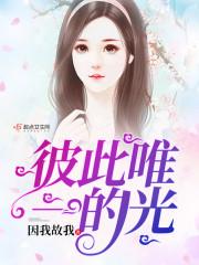 元婧安宋乾川封面