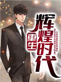 重生輝煌時代沈林魯小榮封面