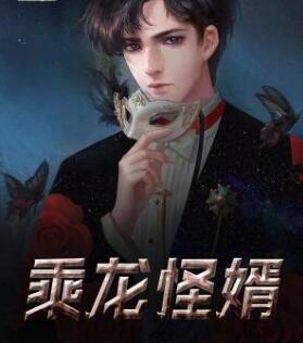 乘龍怪婿封面