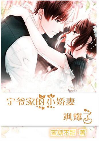 寧爺家的小嬌妻颯爆了封面