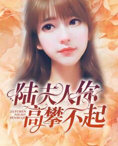 陸夫人你高攀不起全文免費閱讀封面