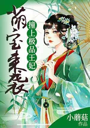 鳳凌雪夜璟瀾封面