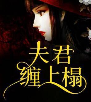 江君堯慕辭小說封面